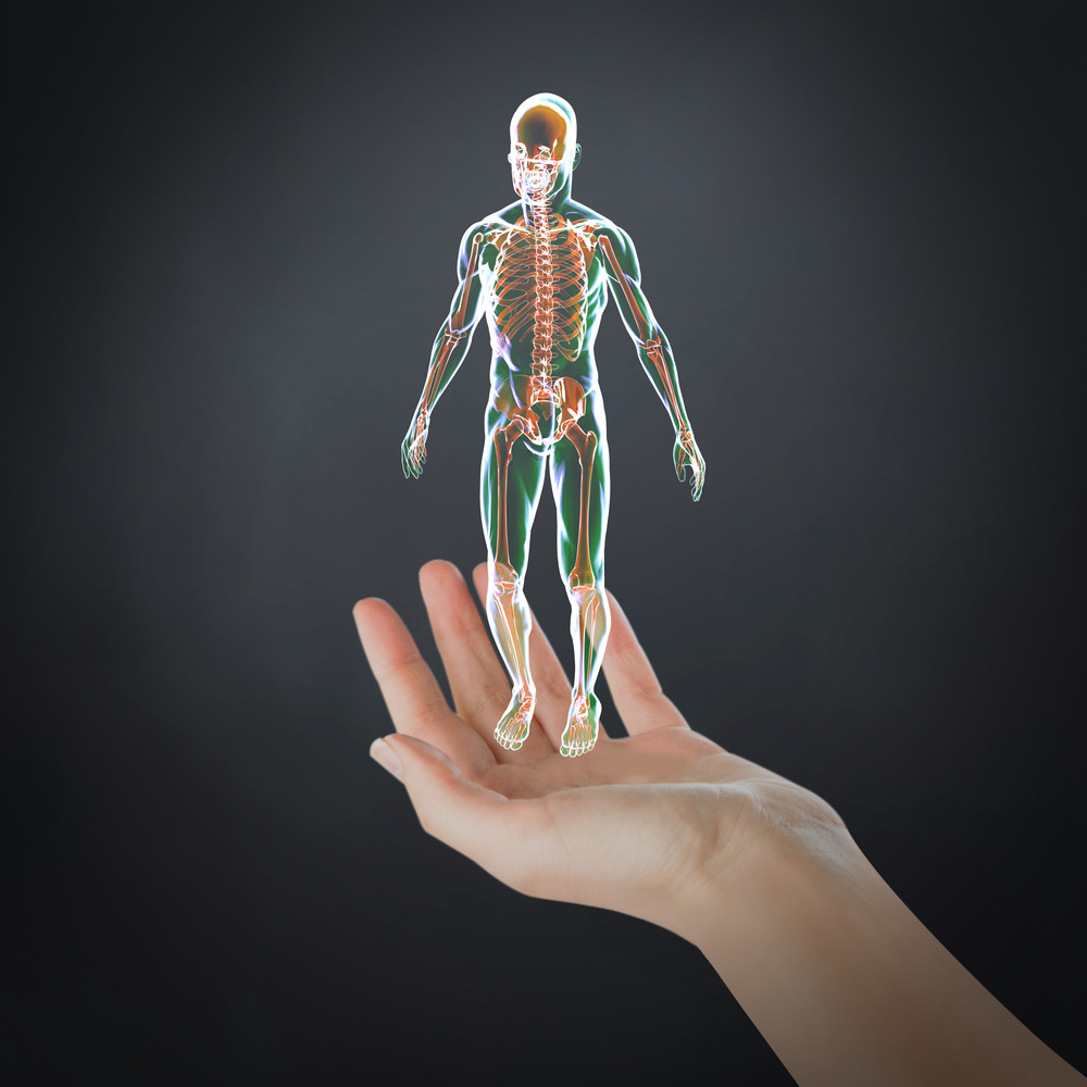 Virtual Human Body Presentation